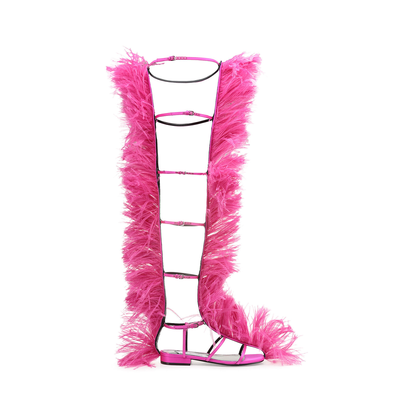 Amazona, 0