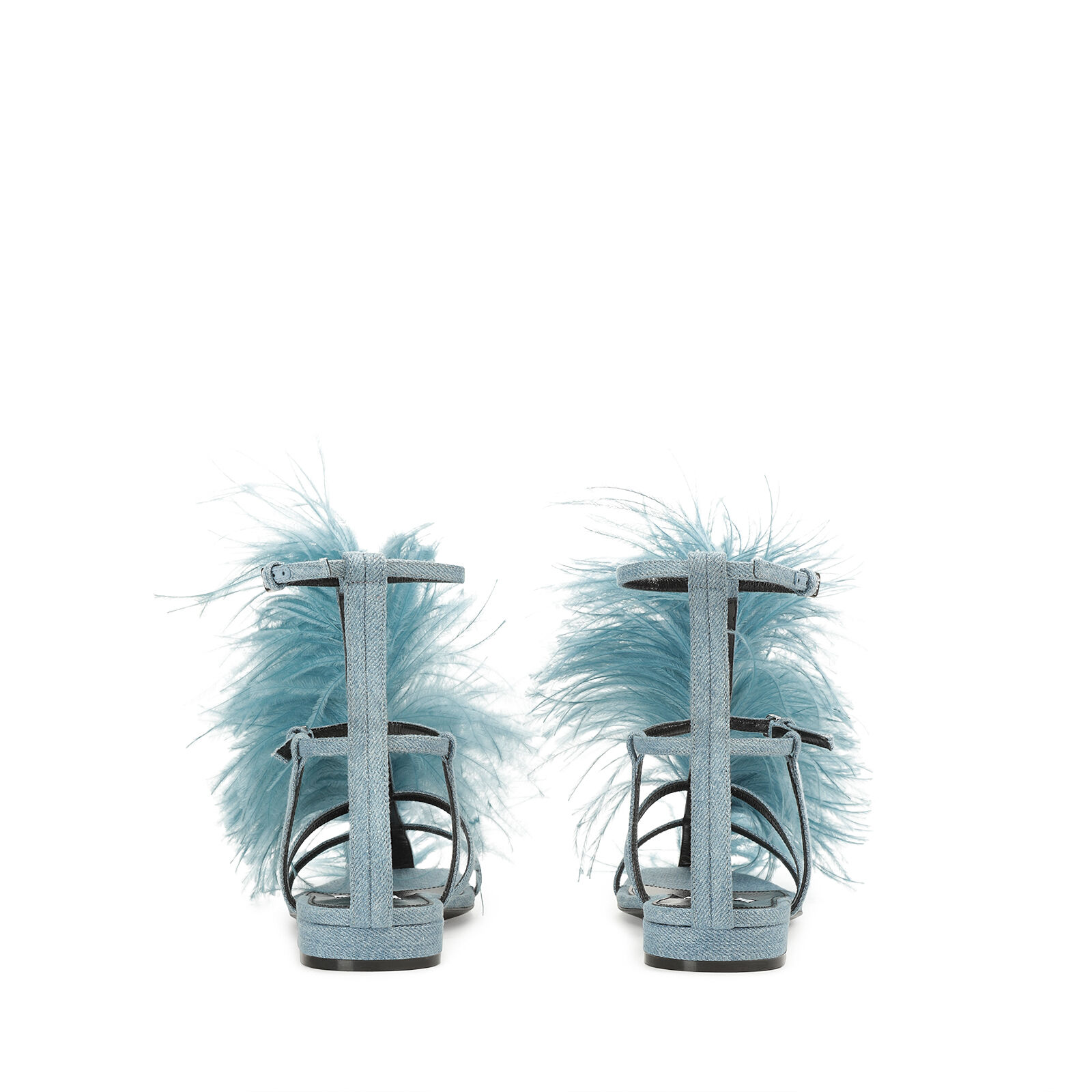 Amazona, 2