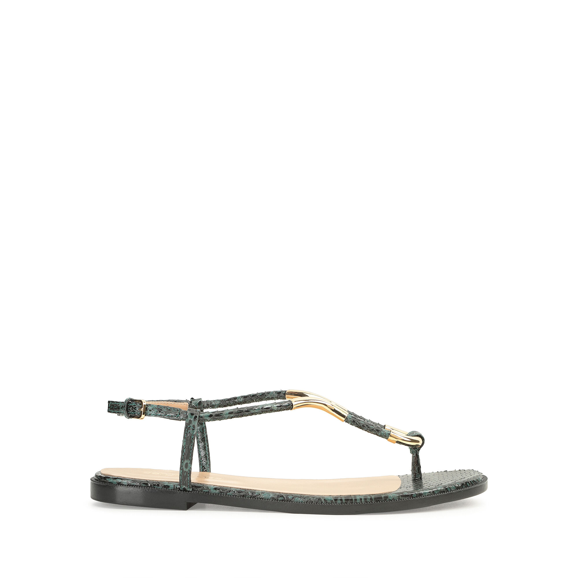 サンダル グリーン ローヒール: 5mm, Twist - Sandals Peacock | Sergio Rossi