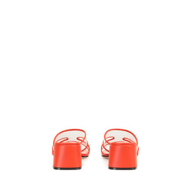 sr Lunettes, 2