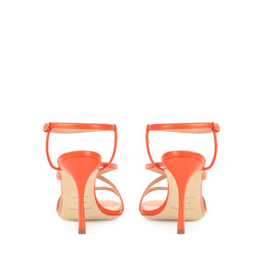 Bon Ton, 2