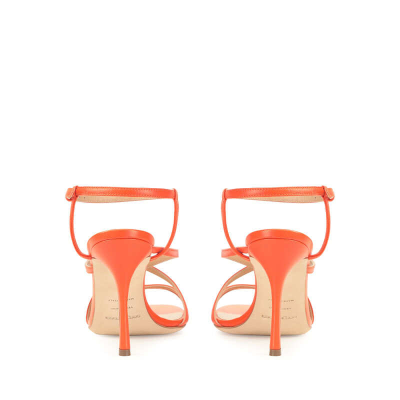 Bon Ton