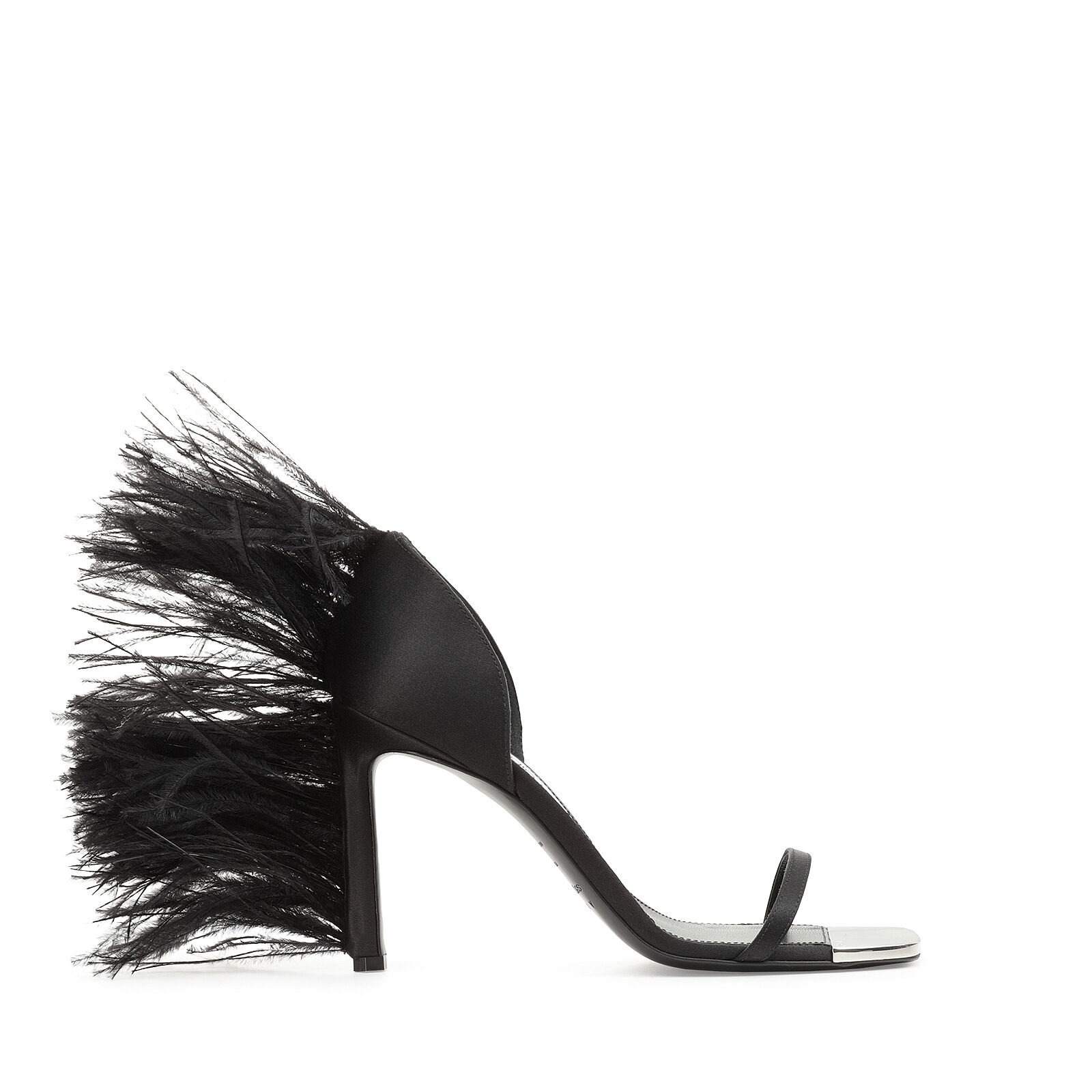 Amazona, 0
