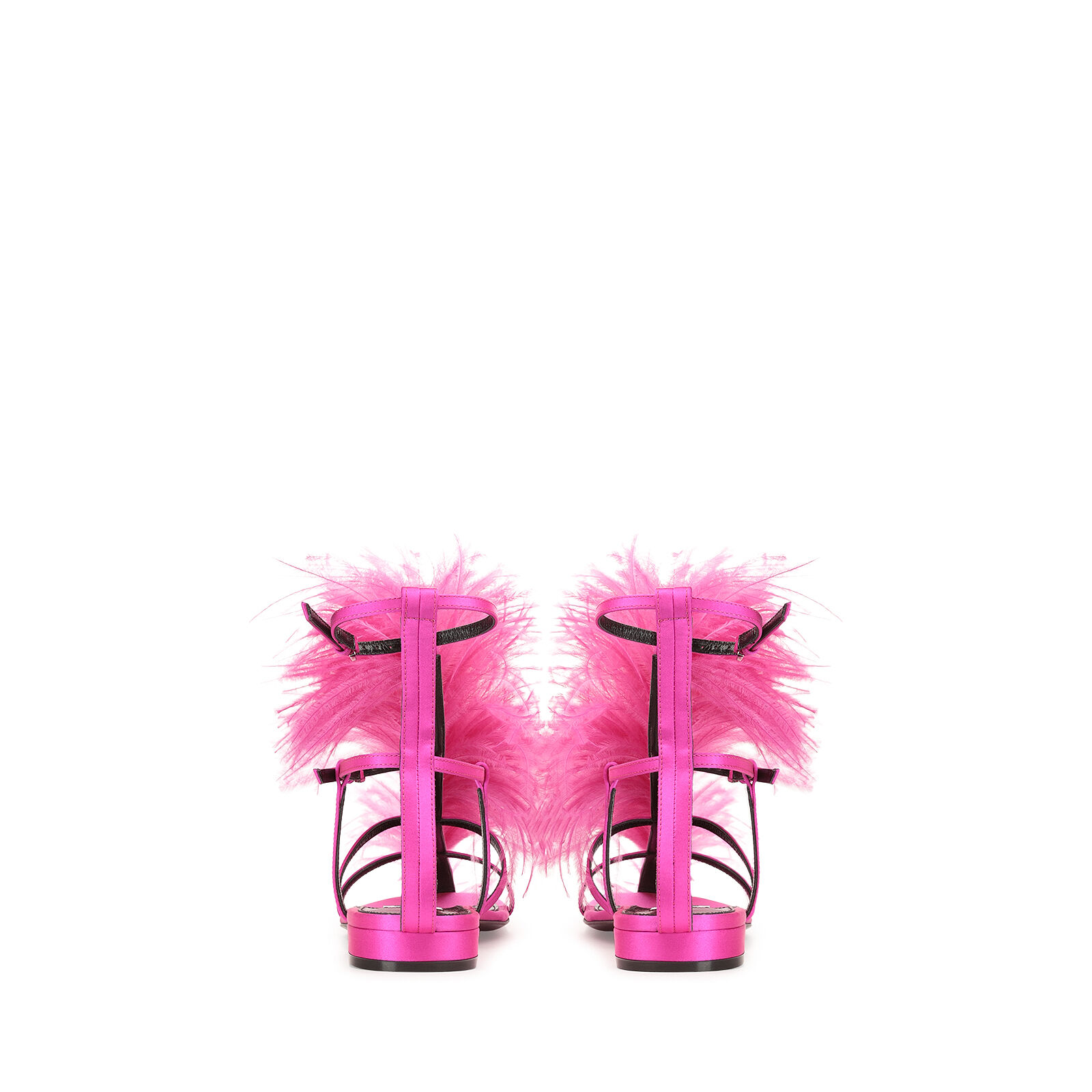 Amazona, 2