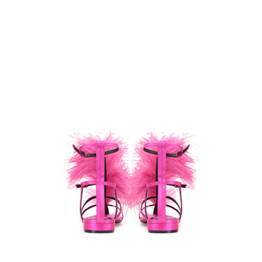 Amazona, 2