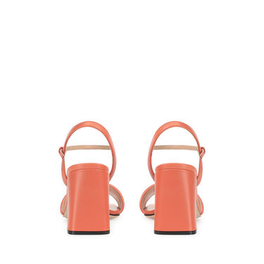 Bon ton, 2