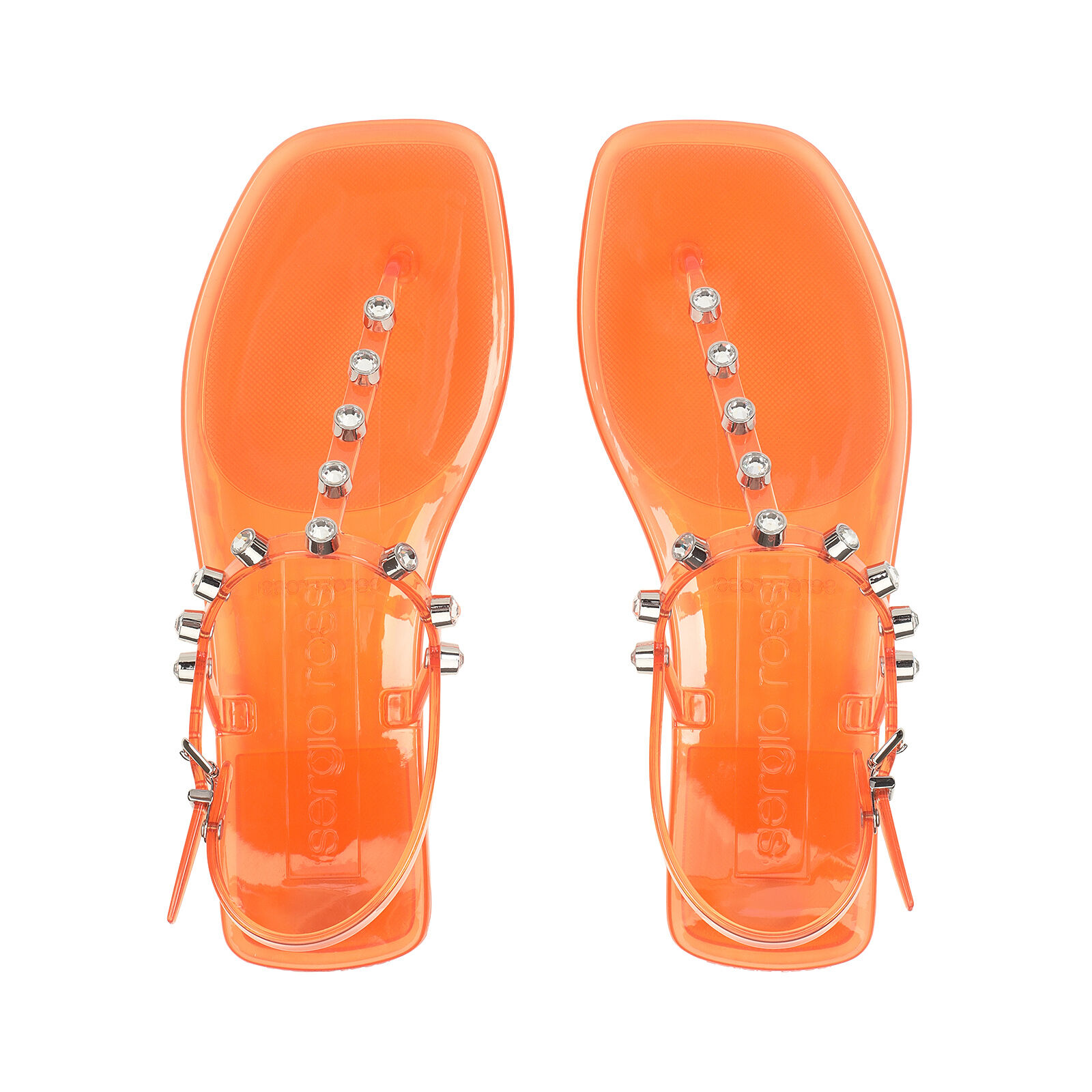 sr Jelly, 3