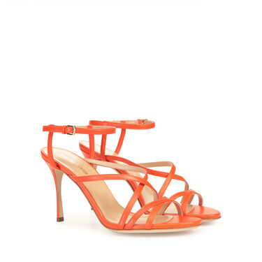 Bon Ton, 1