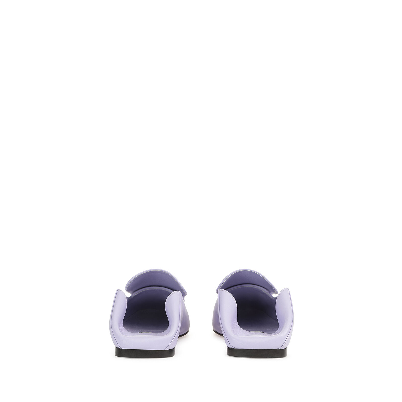 sr1  - Slippers Wisteria, 2