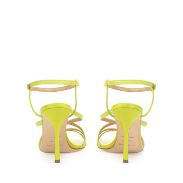 Bon Ton, 2