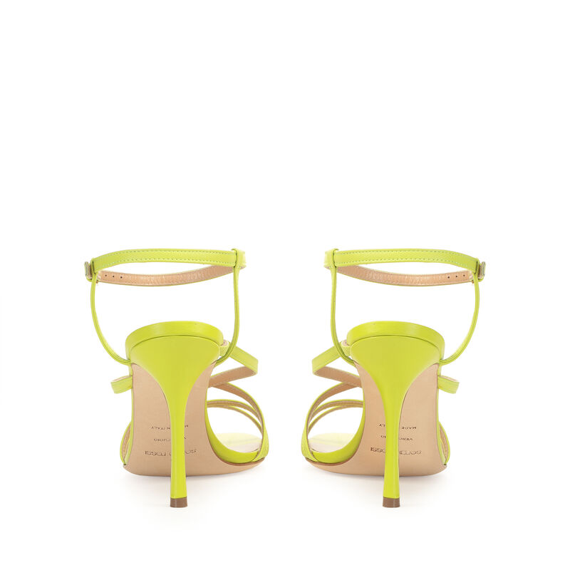 Bon Ton