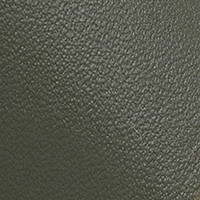 sr1, military, swatch-color