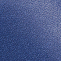 sr1, electric, swatch-color