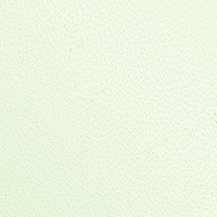 sr1, apple, swatch-color