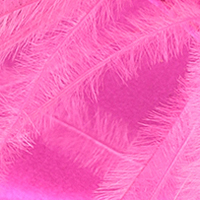 Amazona, dragon fruit, swatch-color