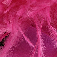 Amazona, dragon fruit, swatch-color