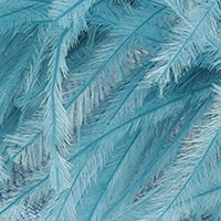 Amazona, Blue, swatch-color