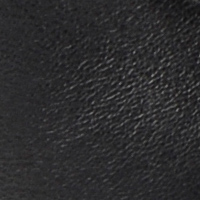 sr1, Black, swatch-color