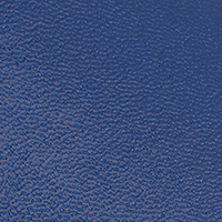 sr1, electric, swatch-color