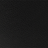 sr Alicia, Noir, swatch-color